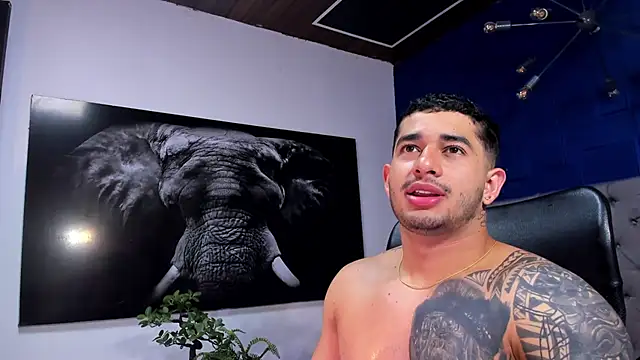 king falconer online show from 01-06-26, 03:54