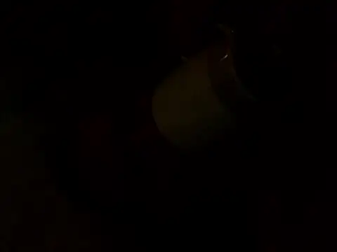 Snapshot of PointXXL chatting on 12-16-25, 02:33 PointXXL online show from 12-16-25, 02:33