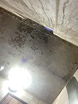 freedmar online show from 12-16-25, 06:02