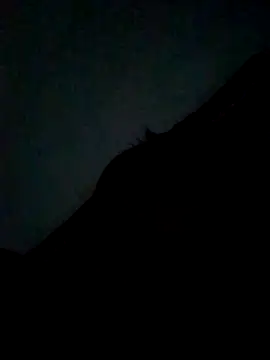 CatchingBouquet online show from 09-21-25, 07:37