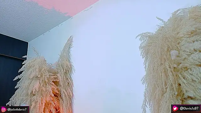 JulietaDavis online show from 04-20-26, 09:34