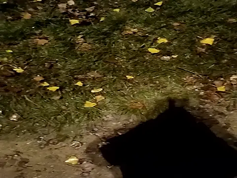 Snapshot of jvdzj-0_ chatting on 10-29-25, 10:44 jvdzj-0  online show from 10-29-25, 10:44