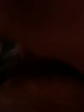 dice4422 online show from 04-02-26, 05:32