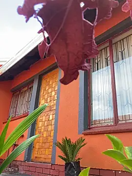 Snapshot of BaggyDirt chatting on 02-24-26, 06:44 BaggyDirt online show from 02-24-26, 06:44