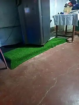 BabyHansi online show from 03-29-26, 05:02