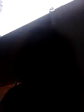 RFeltomWhitJ online show from 11-08-25, 04:40