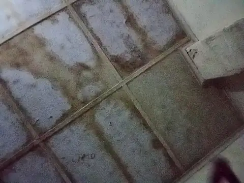 RFeltomWhitJ online show from 11-17-25, 01:11