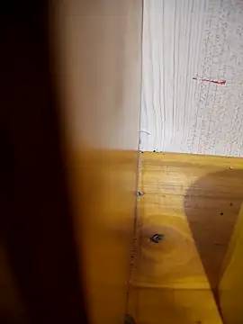 daisylouis online show from 04-21-26, 01:07