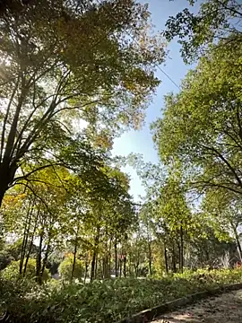 Xiao-meng66 online show from 11-14-25, 03:38