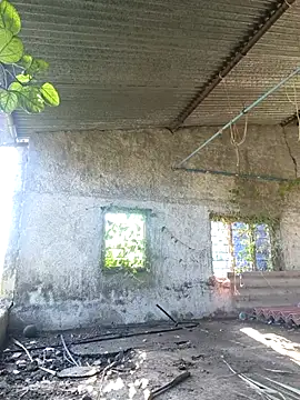 Snapshot of Sunny_cute_love chatting on 10-06-25, 03:04 Sunny cute love online show from 10-06-25, 03:04