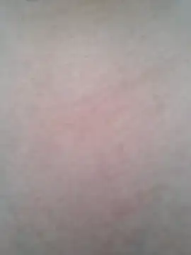 Snapshot of BigBoobs186 chatting on 10-20-25, 01:28 BigBoobs186 online show from 10-20-25, 01:28