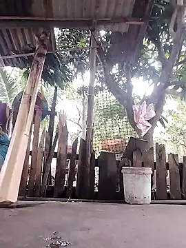 Snapshot of BigBoobs186 chatting on 10-23-25, 10:52 BigBoobs186 online show from 10-23-25, 10:52