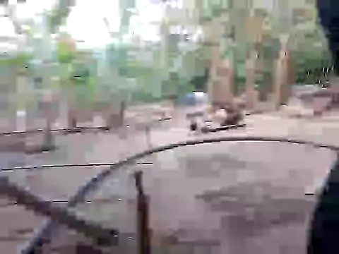 Snapshot of BigBoobs186 chatting on 11-10-25, 10:03 BigBoobs186 online show from 11-10-25, 10:03