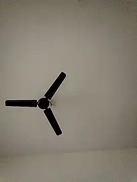 Snapshot of shreyas79 chatting on 10-26-25, 06:19 shreyas79 online show from 10-26-25, 06:19