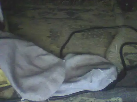 Bebita-zmp online show from 07-11-26, 04:32
