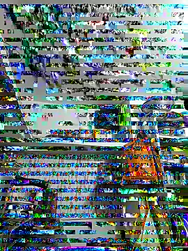 ISHANI-SINGH online show from 11-29-25, 03:37