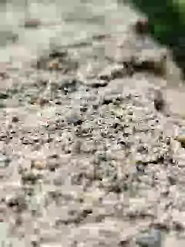 Snapshot of Girls_pussy_rider chatting on 09-14-25, 01:49 Girls pussy rider online show from 09-14-25, 01:49