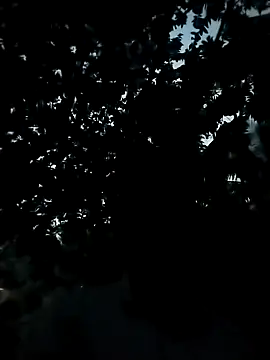 Girls pussy rider online show from 11-24-25, 12:38