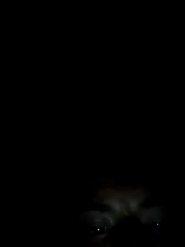 Snapshot of Xhimo5 chatting on 09-28-25, 08:31 Xhimo5 online show from 09-28-25, 08:31