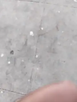 Wet BunnyFun online show from 11-05-25, 12:05