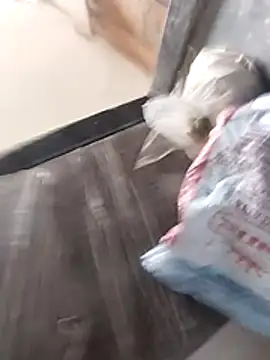 Snapshot of Wet_BunnyFun chatting on 02-25-26, 10:03 Wet BunnyFun online show from 02-25-26, 10:03