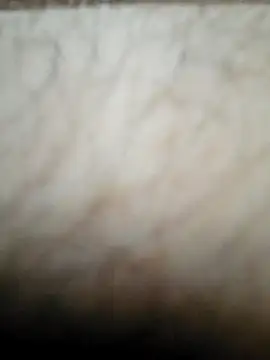 Snapshot of nikads0 chatting on 05-19-26, 01:39 nikads0 online show from 05-19-26, 01:39