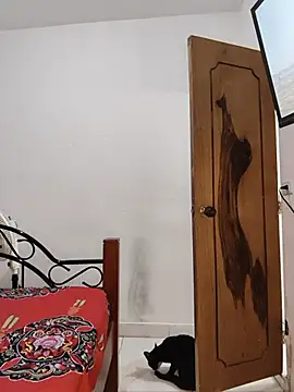 NARNYALABELLA online show from 07-16-26, 11:05