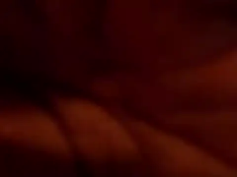 Snapshot of TRANSPORNIDOL chatting on 11-22-25, 07:24 TRANSPORNIDOL online show from 11-22-25, 07:24