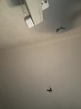 AroraAngel online show from 03-07-26, 09:56