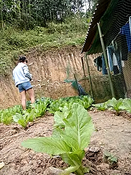 daisy will online show from 01-19-26, 03:21