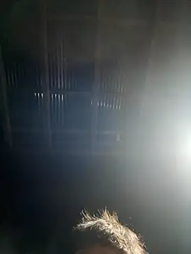 usu0130 online show from 10-16-25, 02:07