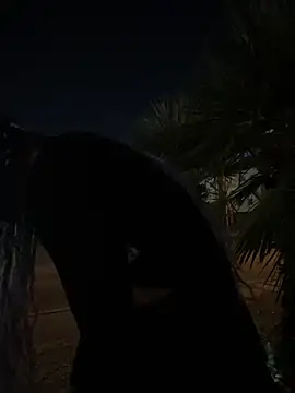 Snapshot of TranSexualJade95 chatting on 11-01-25, 10:06 TranSexualJade95 online show from 11-01-25, 10:06