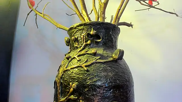 winderling online show from 09-15-25, 07:36