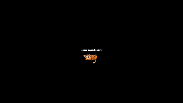 Snapshot of pecsblack888 chatting on 09-29-25, 06:46 pecsblack888 online show from 09-29-25, 06:46