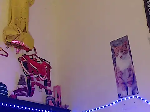 Npga96 online show from 04-17-26, 08:01