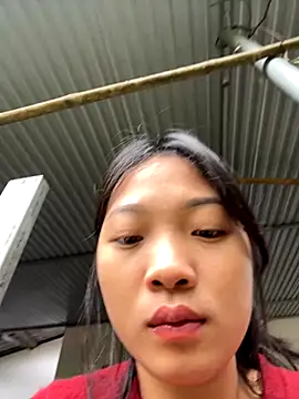 Phayphay77 online show from 11-21-25, 01:48