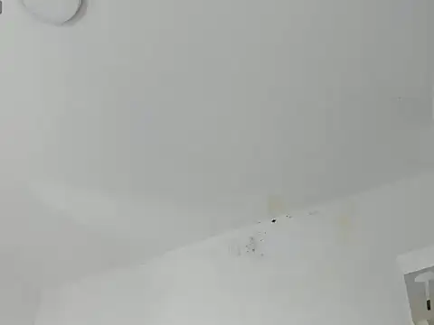 Snapshot of MafeStar777 chatting on 03-02-26, 03:41 MafeStar777 online show from 03-02-26, 03:41