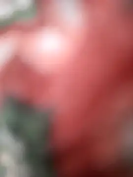 SexyBhabhi323 online show from 10-05-25, 08:12