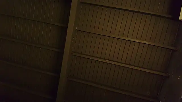 lilyth bloom online show from 12-15-25, 12:42