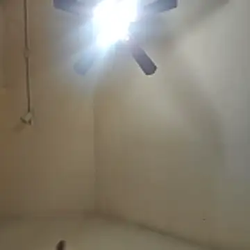 Tclarke93 online show from 11-12-25, 05:52