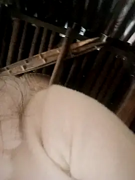 Snapshot of Bianly chatting on 11-15-25, 02:31 Bianly online show from 11-15-25, 02:31