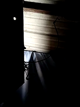 ShawnandDani7074 online show from 04-14-26, 07:47