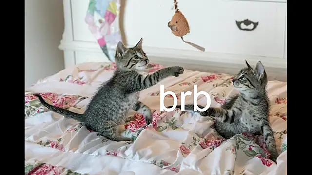 Pink girl0n online show from 09-27-25, 04:12