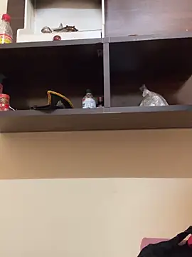 modelnishu online show from 04-09-26, 06:19