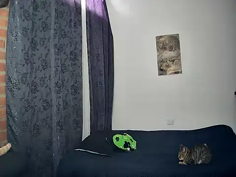 juantalents online show from 10-15-25, 02:39