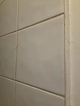 raen001 online show from 11-06-25, 08:54