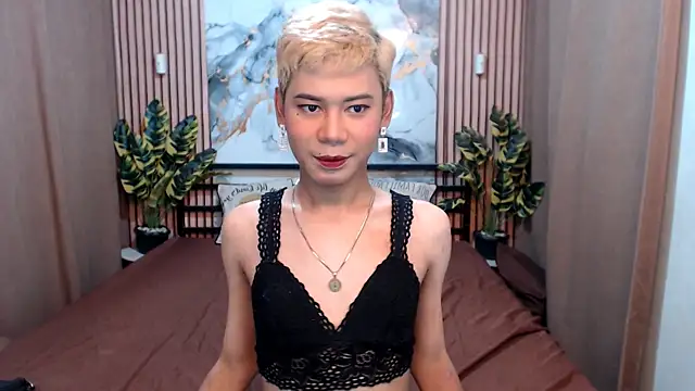 MissTransStella69 online show from 08-05-26, 05:54