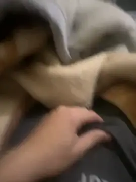 Snapshot of zackria chatting on 12-20-25, 12:29 zackria online show from 12-20-25, 12:29