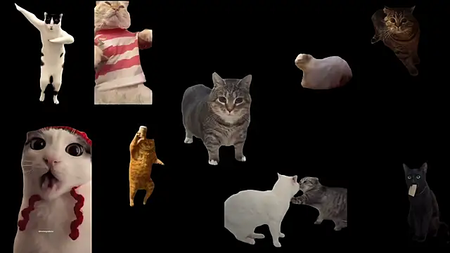 Snapshot of ch0wn_m chatting on 09-20-25, 11:55 ch0wn m online show from 09-20-25, 11:55