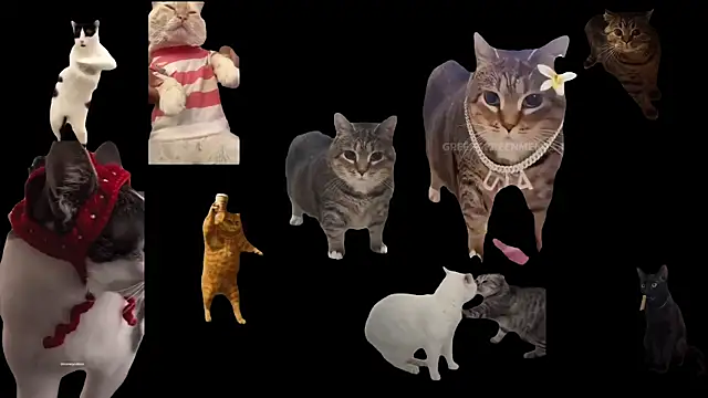 Snapshot of ch0wn_m chatting on 10-03-25, 12:46 ch0wn m online show from 10-03-25, 12:46